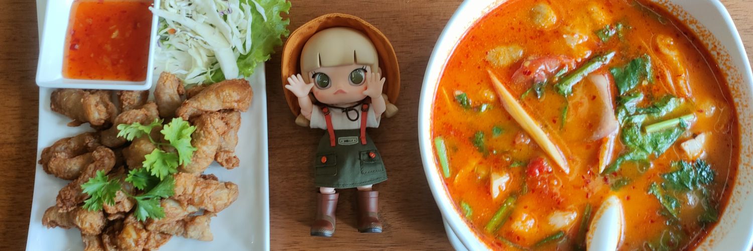 xinxinxinister's profile banner image