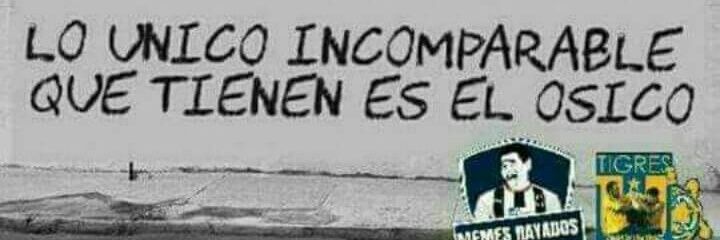 nova_mty's profile banner image