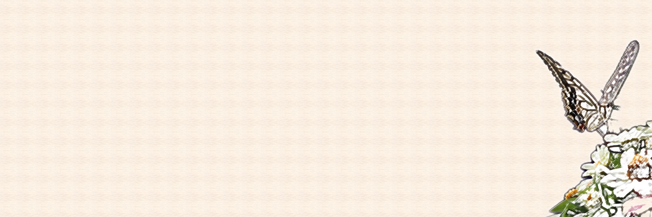 Shinagawa_13's profile banner image