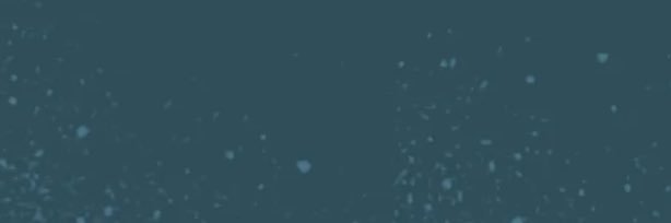 General banner