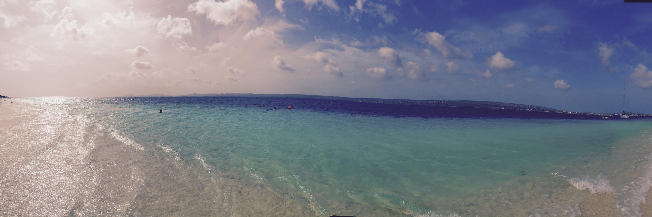 drieskrens's profile banner image