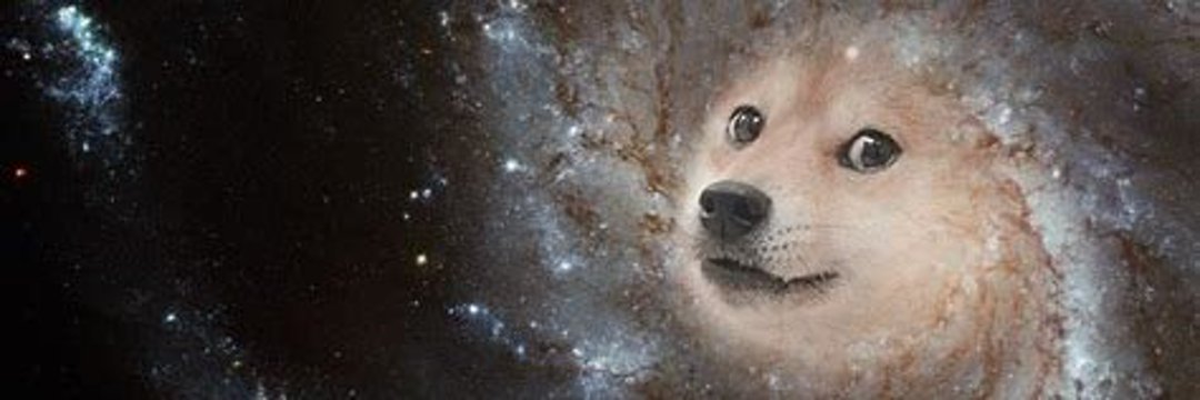 AlgoWhiz | banner