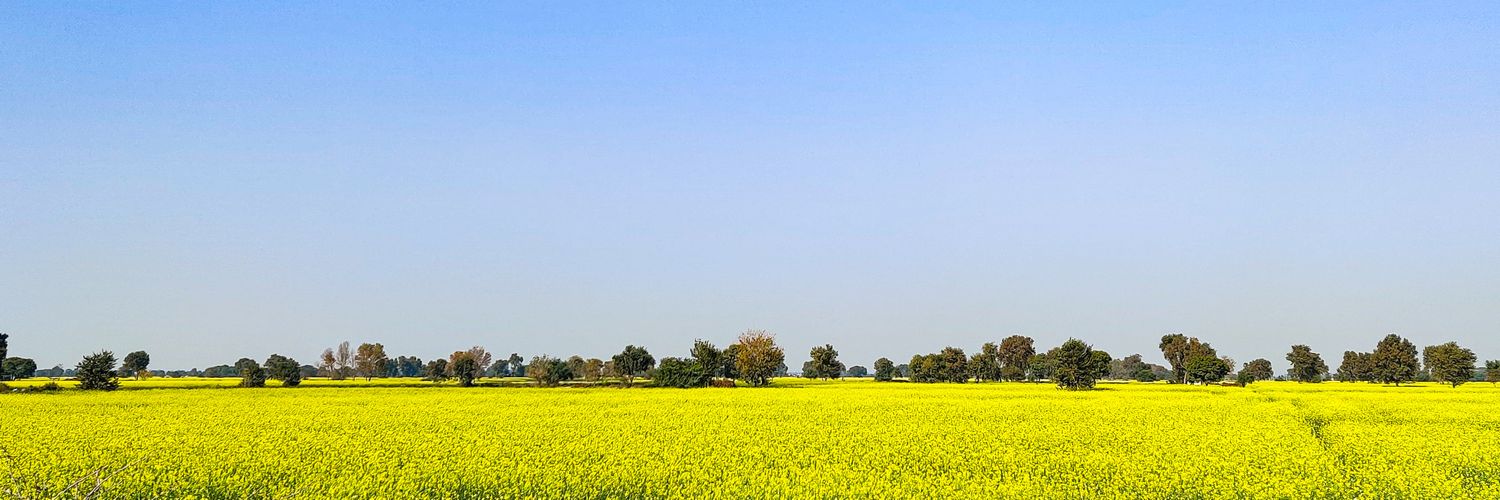 Live Weather Of India banner