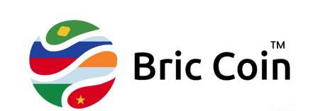 Bric Coin banner