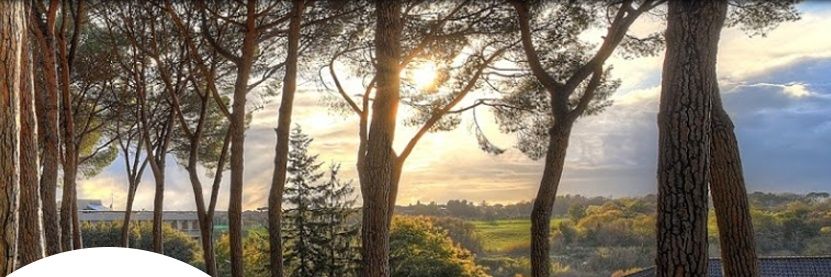 Colegio Mexicano en Roma banner