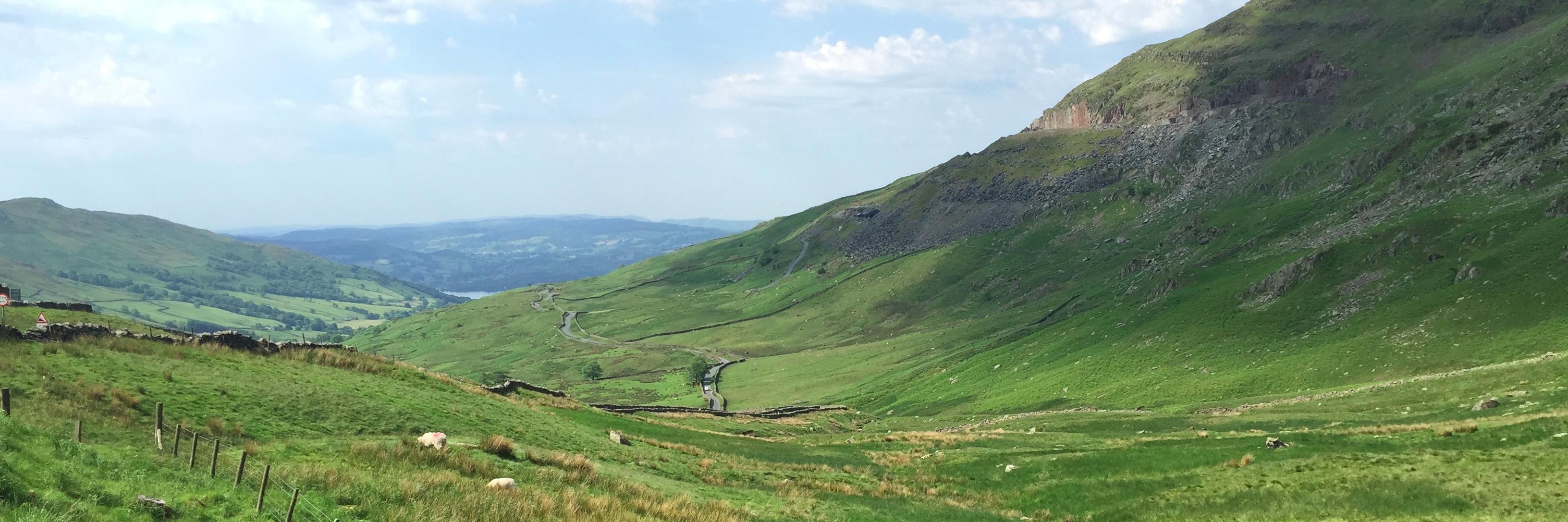 Josh Marketis banner