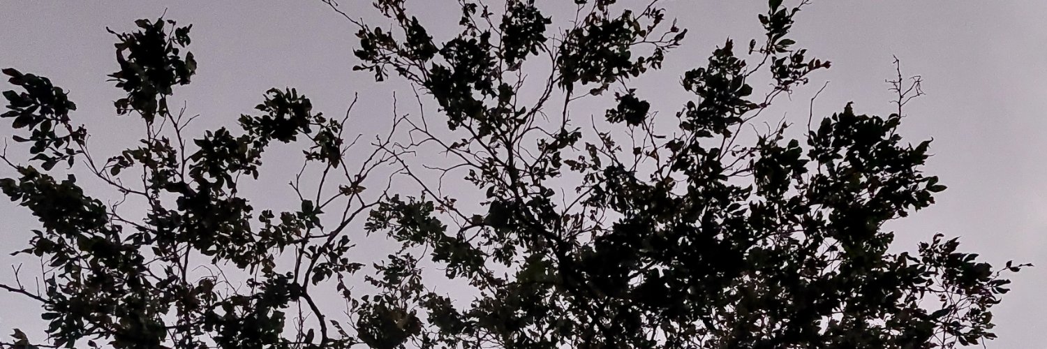 javandrs's profile banner image