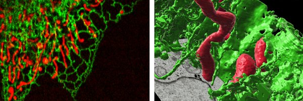 SassanoLivia Profile Banner