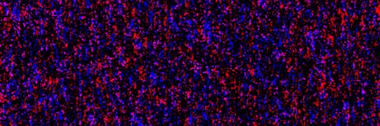 ___xxkndn's profile banner image