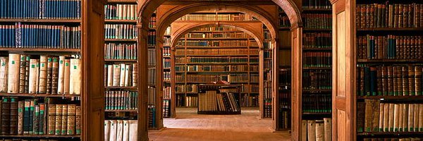 banditkir Profile Banner