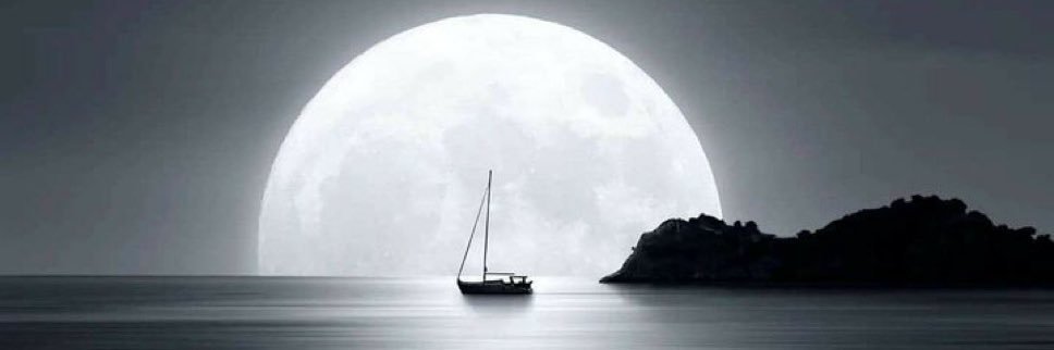 ιηησ¢єηт вєαѕт ™ banner