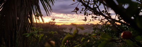 guto_piercing Profile Banner