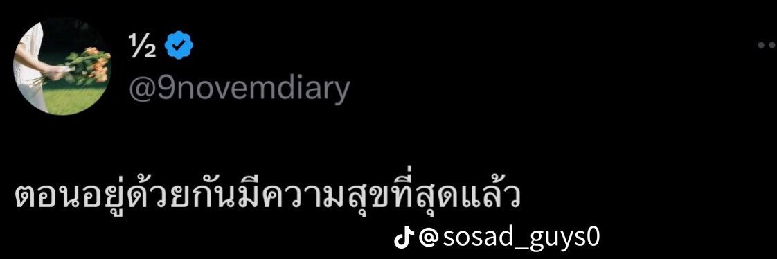 ชอบแมว banner