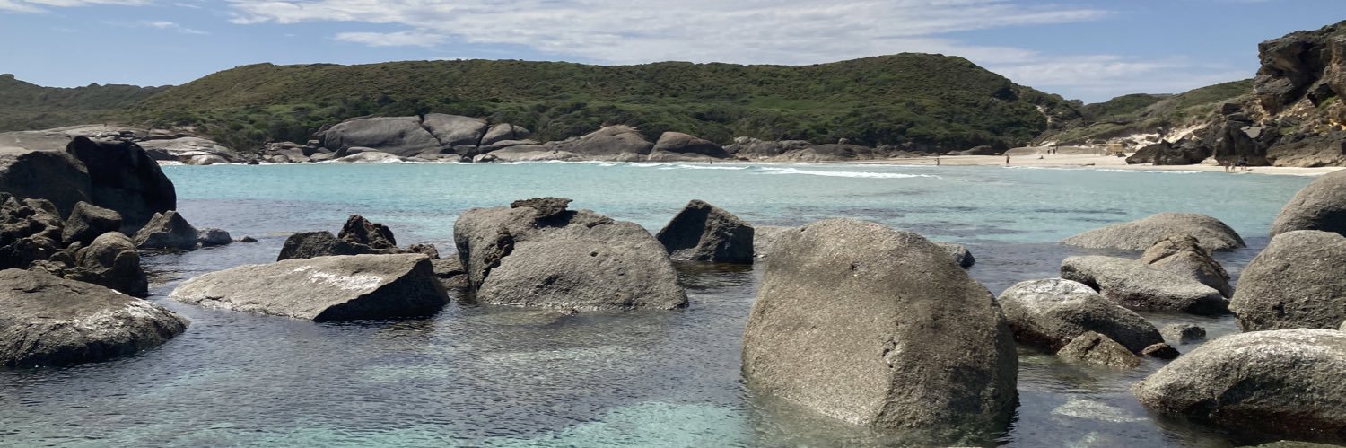 Simone van Hattem banner