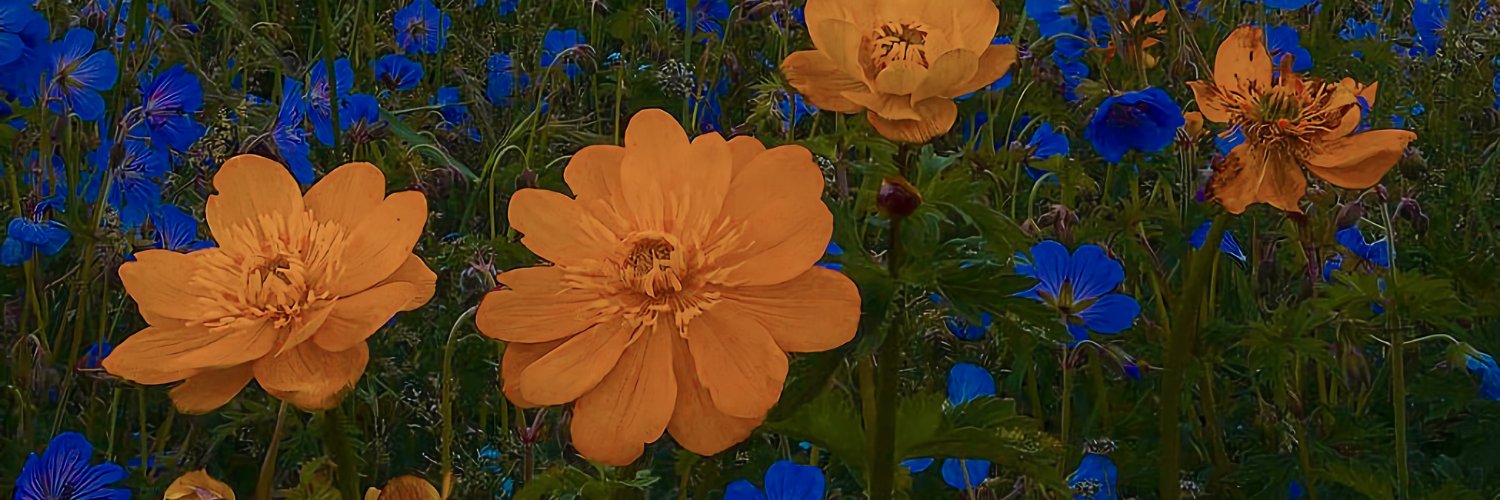 z128856's profile banner image