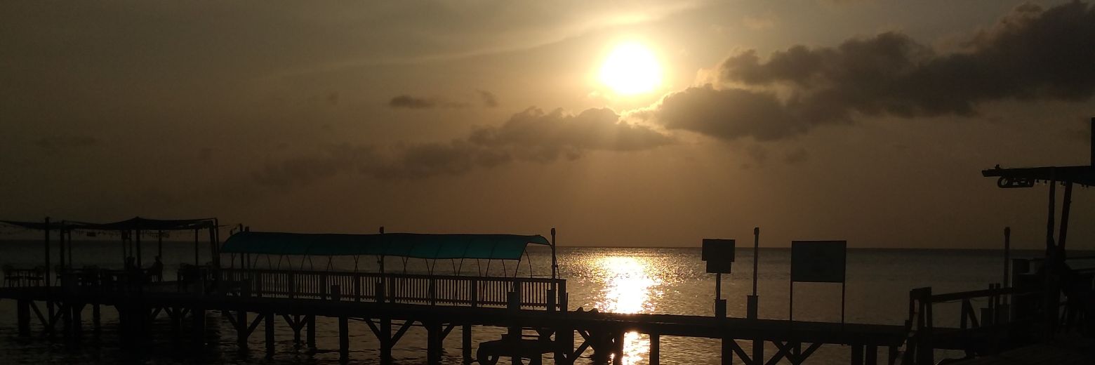 c_omii's profile banner image