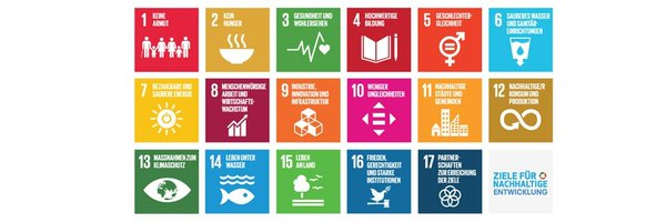 UNDPGermany Profile Banner