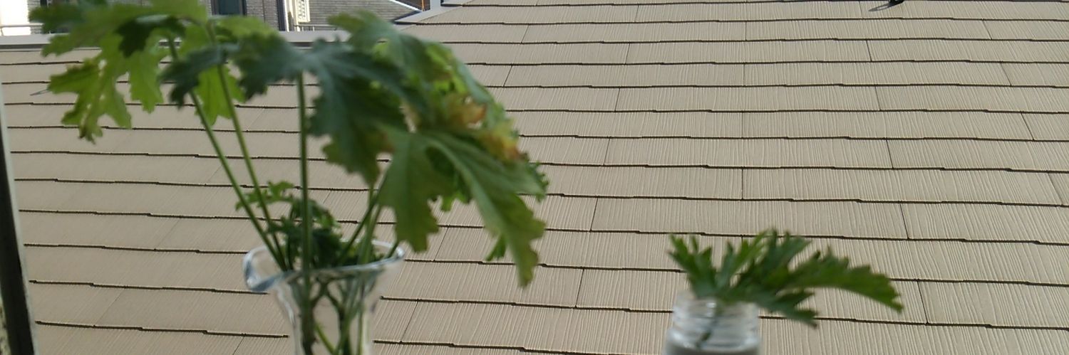 danmizu's profile banner image