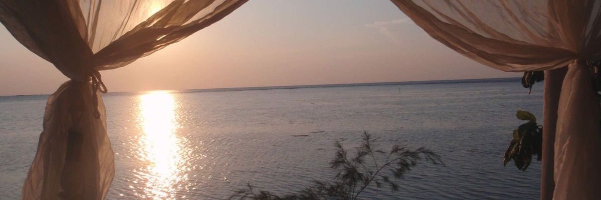 7IVXi5's profile banner image