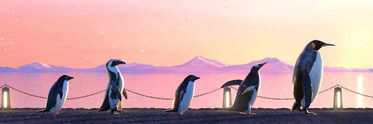 Whaleboy banner