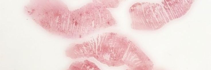 sumo banner