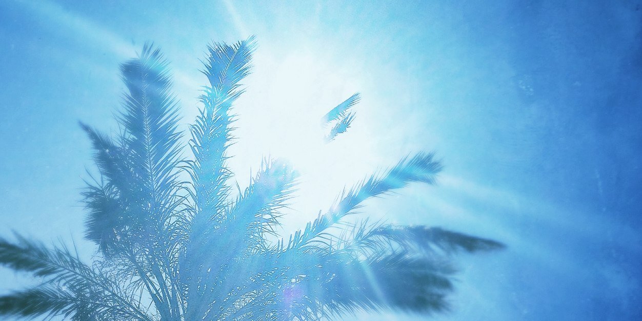 nokomdet's profile banner image