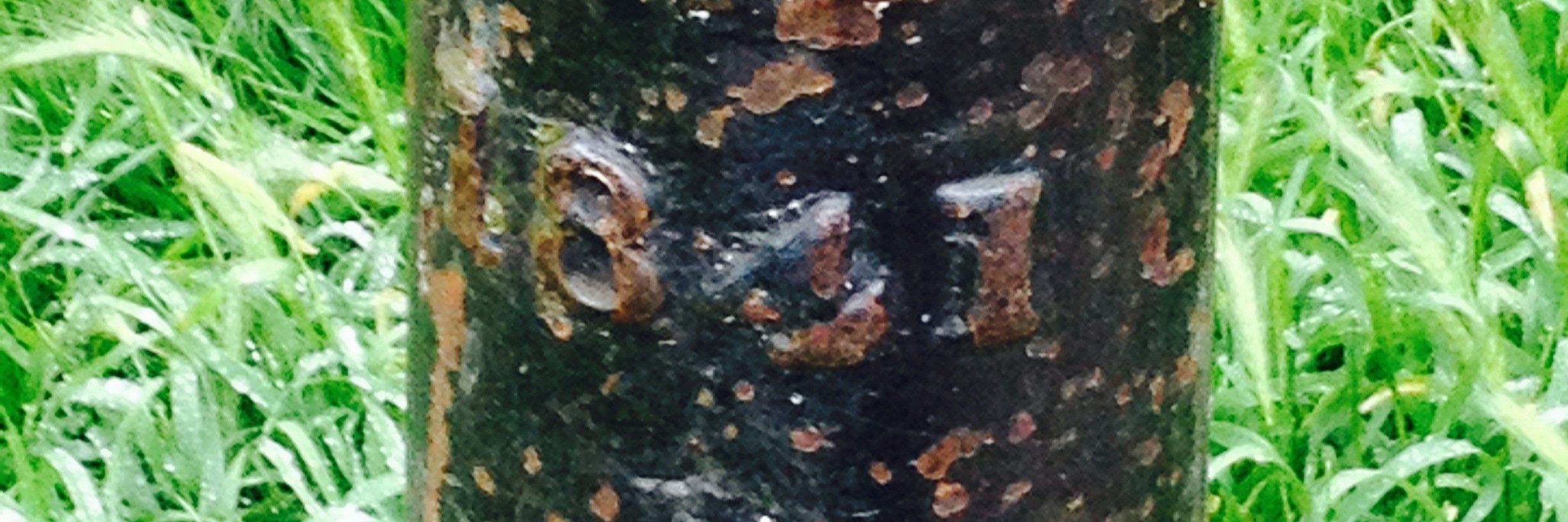 digga1965's profile banner image