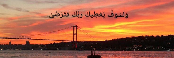E Z.🇵🇸 banner