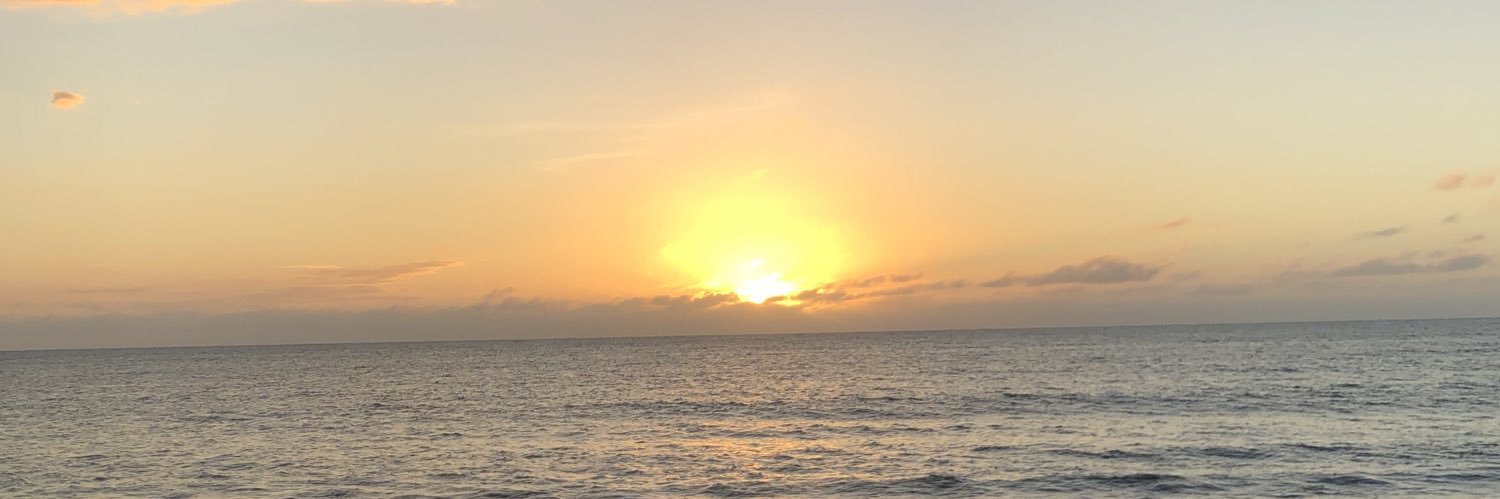 Sperrydion's profile banner image