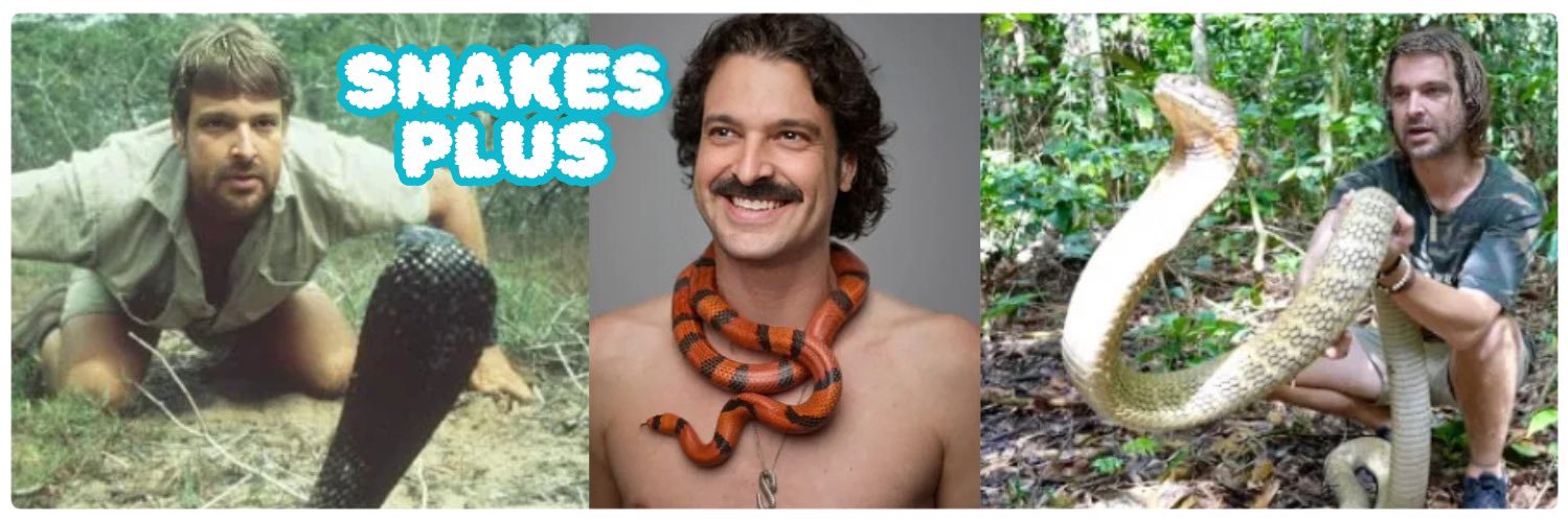 SnakesPlus🐍 banner