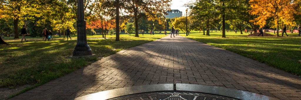MollyDavisOSU's profile banner image