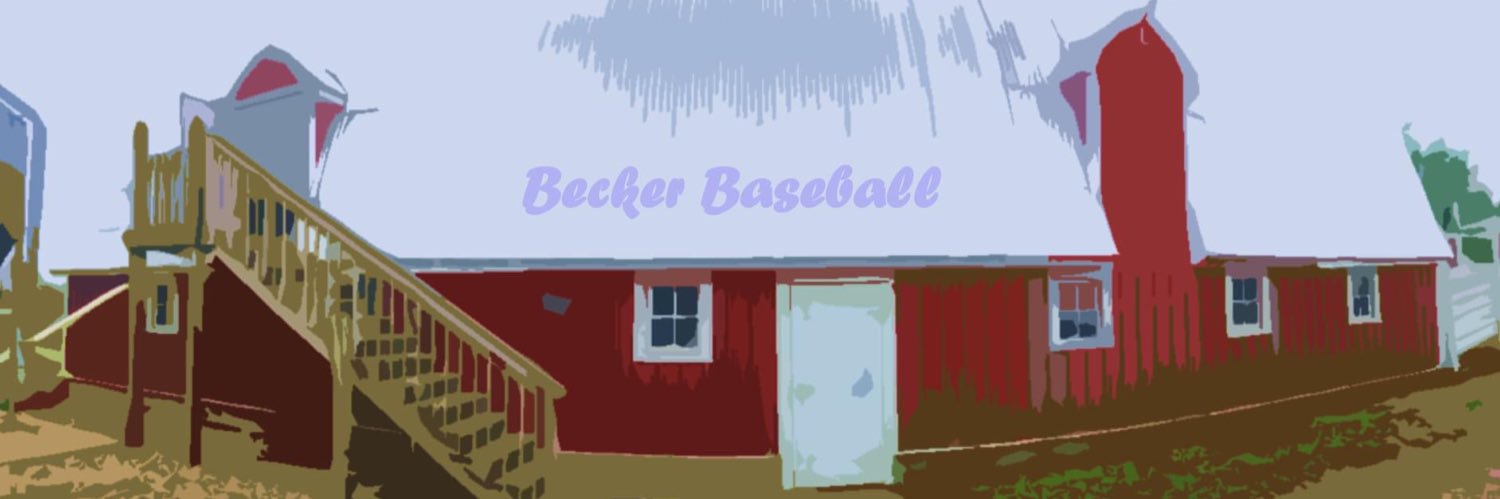 Becker Baseball Training banner