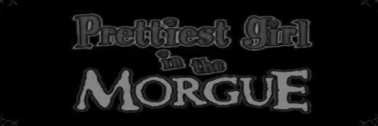 fangfuldoll's profile banner image
