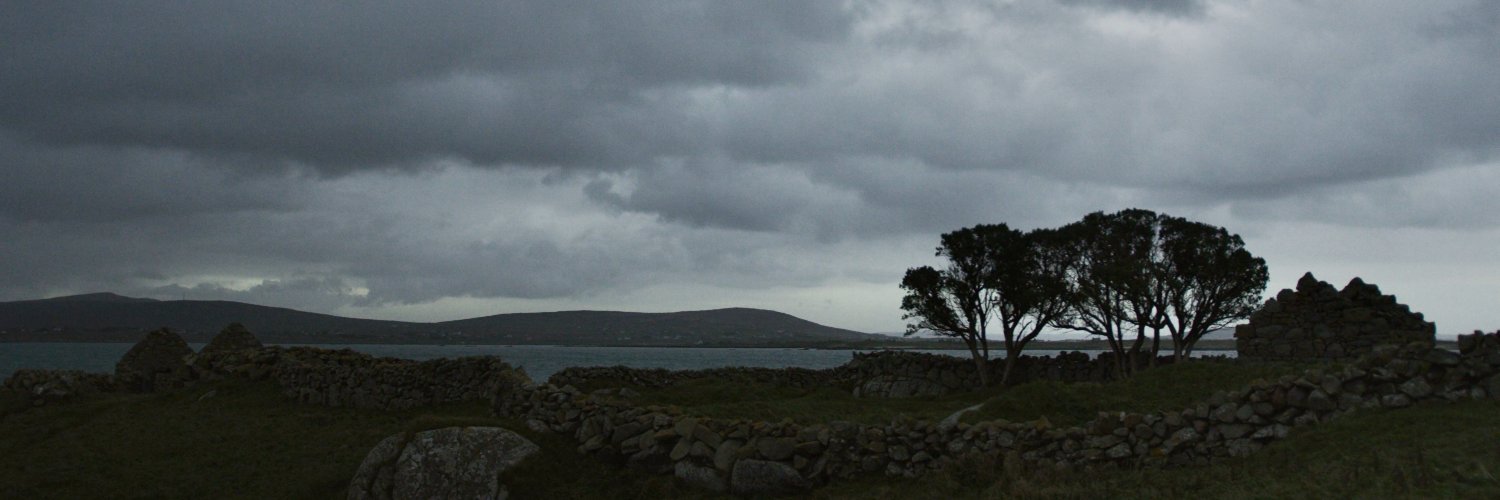 Little Wing Films banner