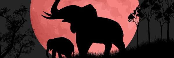 TUSKSnft Profile Banner