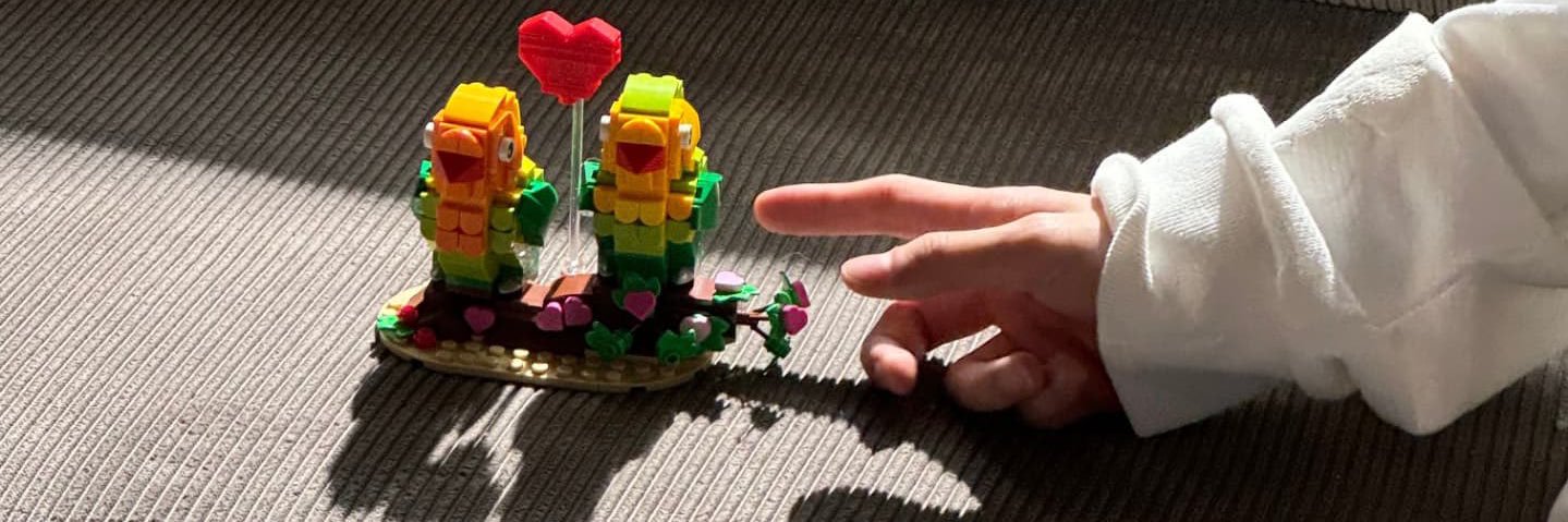 なみ◡̈🧸🍓 banner