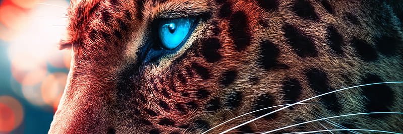 Herman Jackson banner