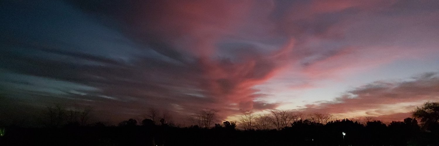 Fan de Friends por siempre banner