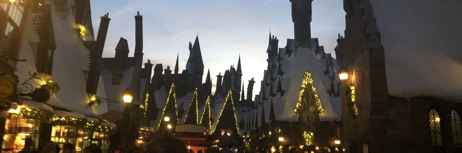 Theresa Courts banner