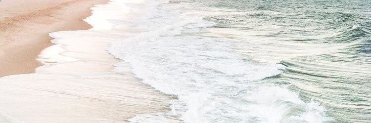 siyjessi's profile banner image