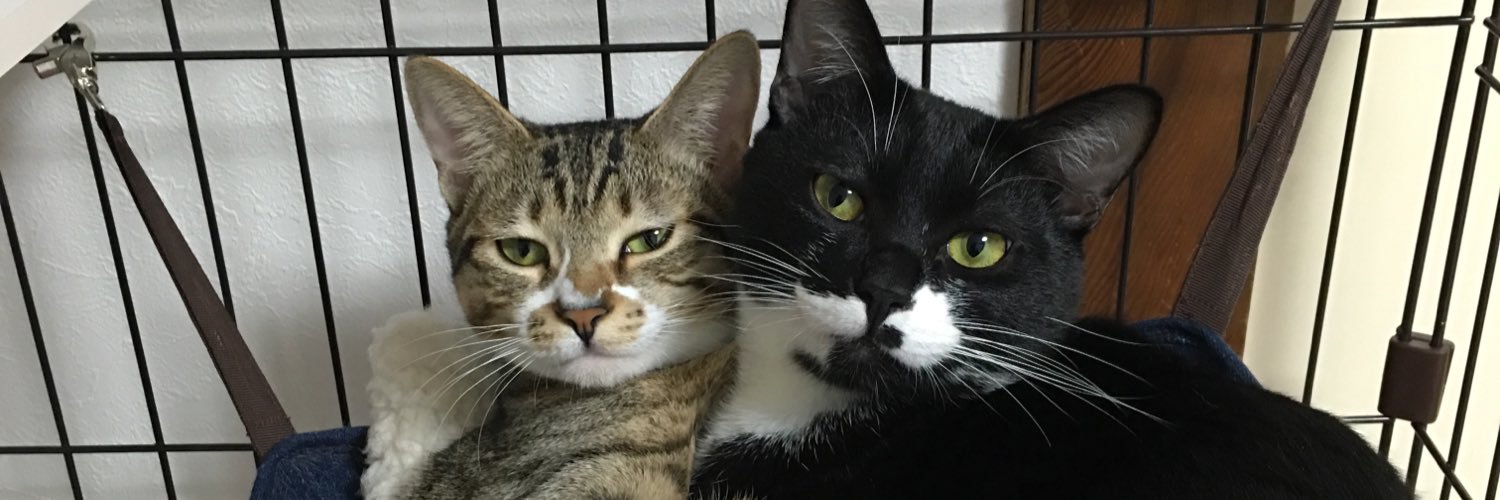 ニゲラ＠鳴海 banner