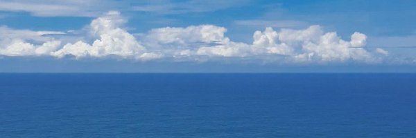 littlerlyyy Profile Banner