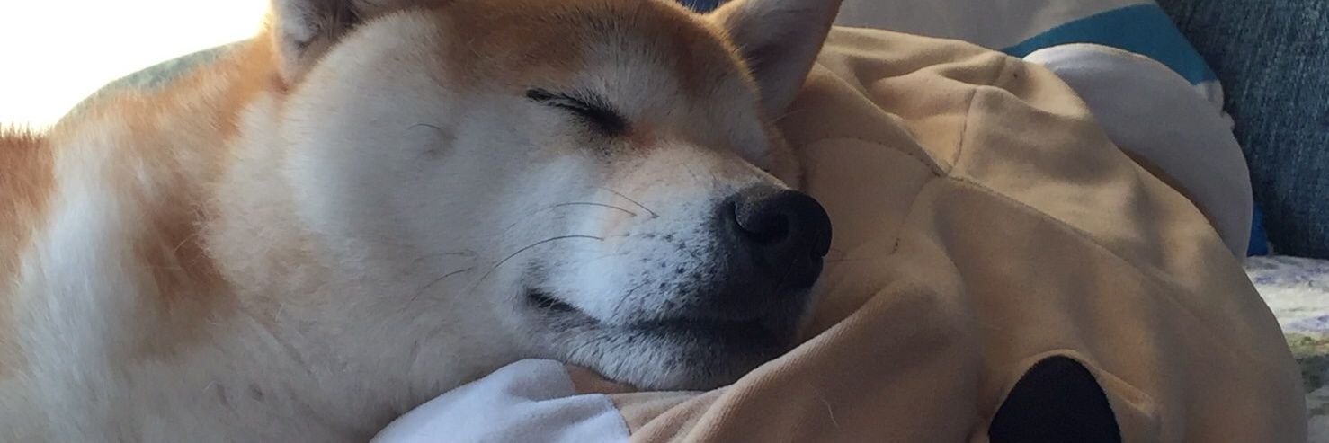 TAyTAppy's profile banner image