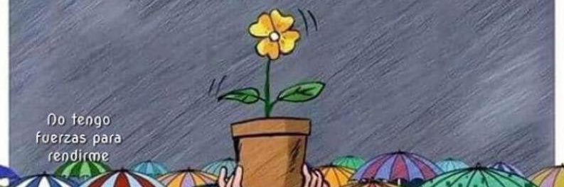 fitipaez's profile banner image