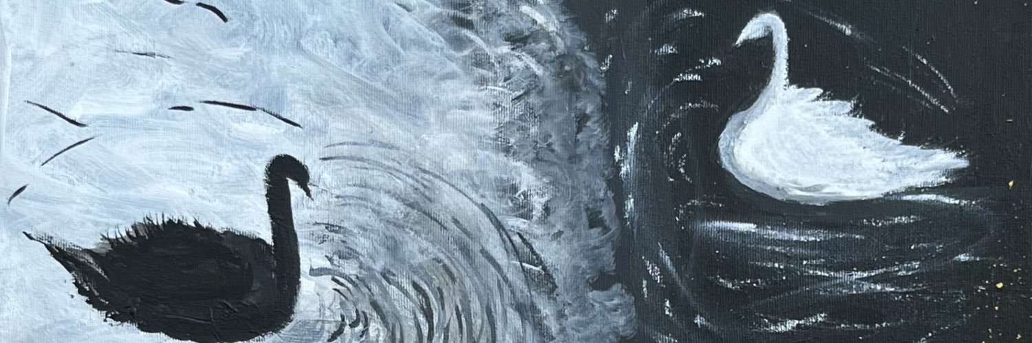 ysnsncn's profile banner image