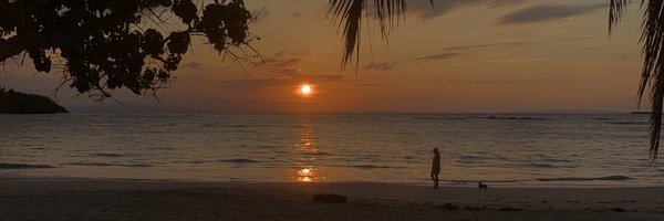 Juniorvr28 Profile Banner