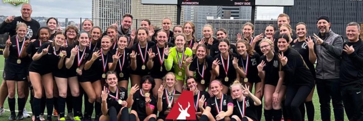 Avonworth Girls Soccer banner