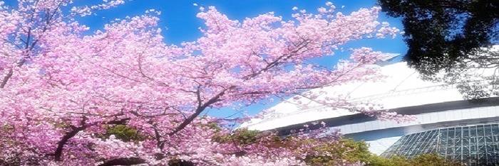 JC上阪@練馬放送『ラジオ三冠Oh!』 banner