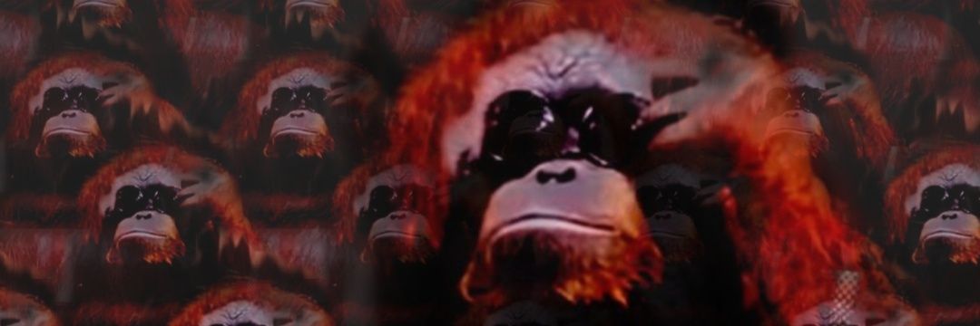 DrPongoOrango's profile banner image