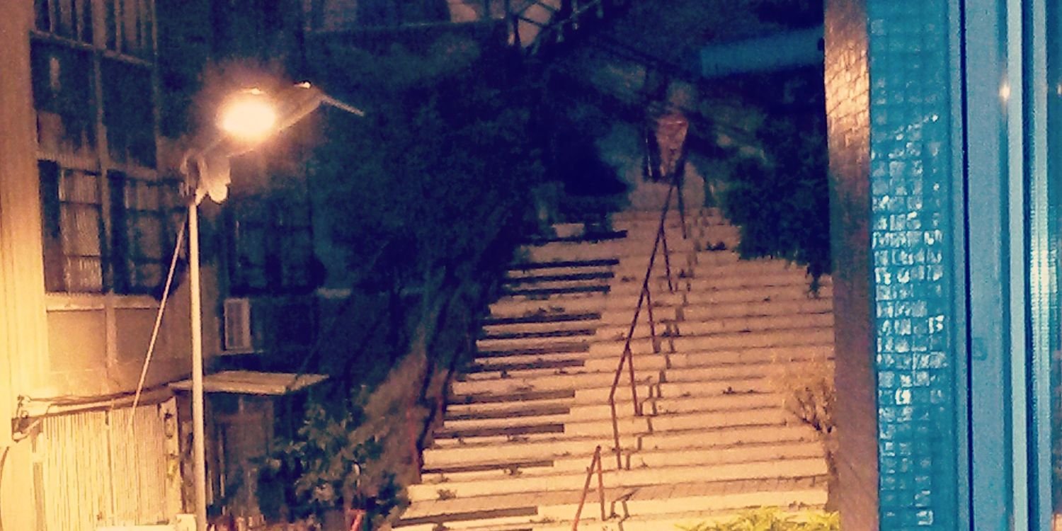 Elif Bal banner